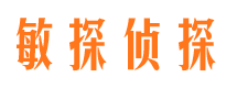 石首商务调查